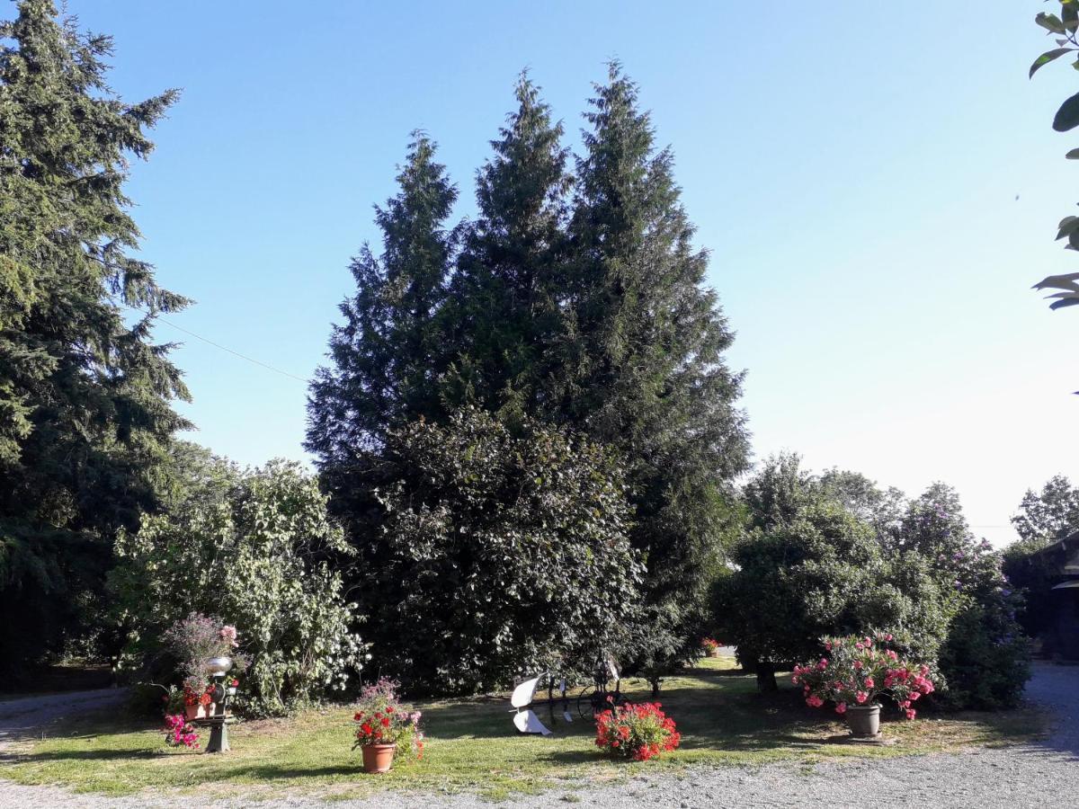 La Ferme Des Tertres Bed and Breakfast La Chapelle-pres-Sees Εξωτερικό φωτογραφία
