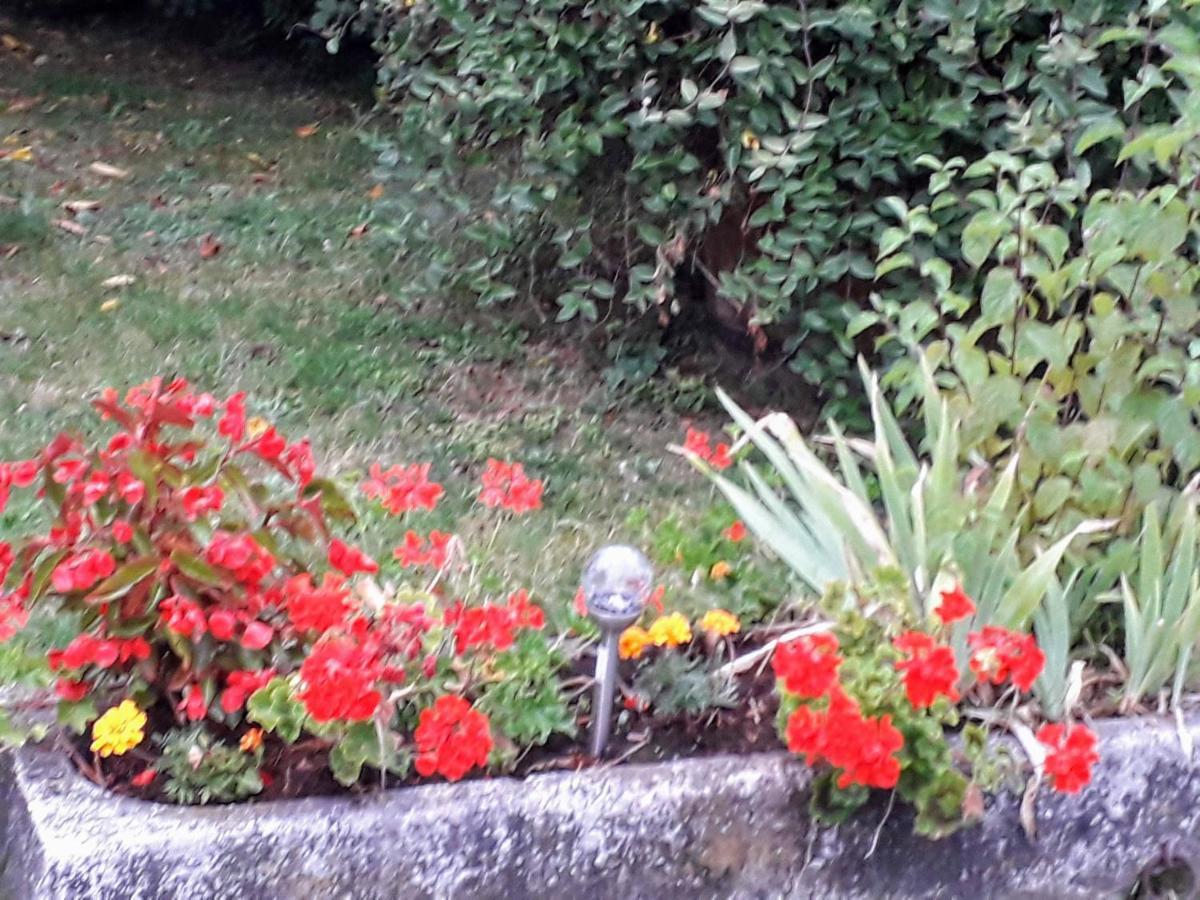 La Ferme Des Tertres Bed and Breakfast La Chapelle-pres-Sees Εξωτερικό φωτογραφία